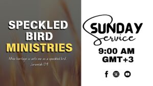 The Pergamean Church Age Vol. 7